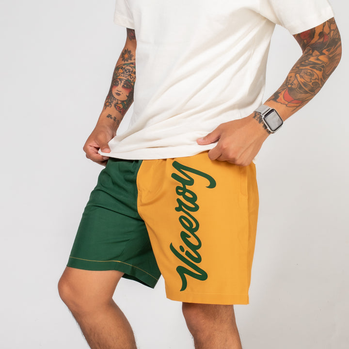 ColorBlock Beach Shorts